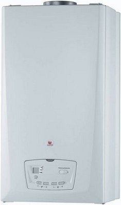 Газовый настенный котел Saunier Duval THEMACLASSIC C 25 (дымоходный) 